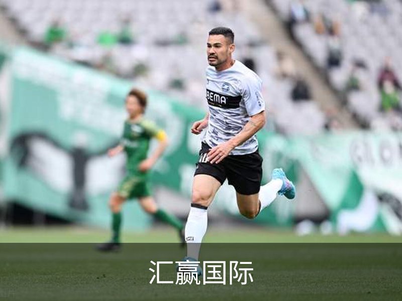 汇赢国际简介